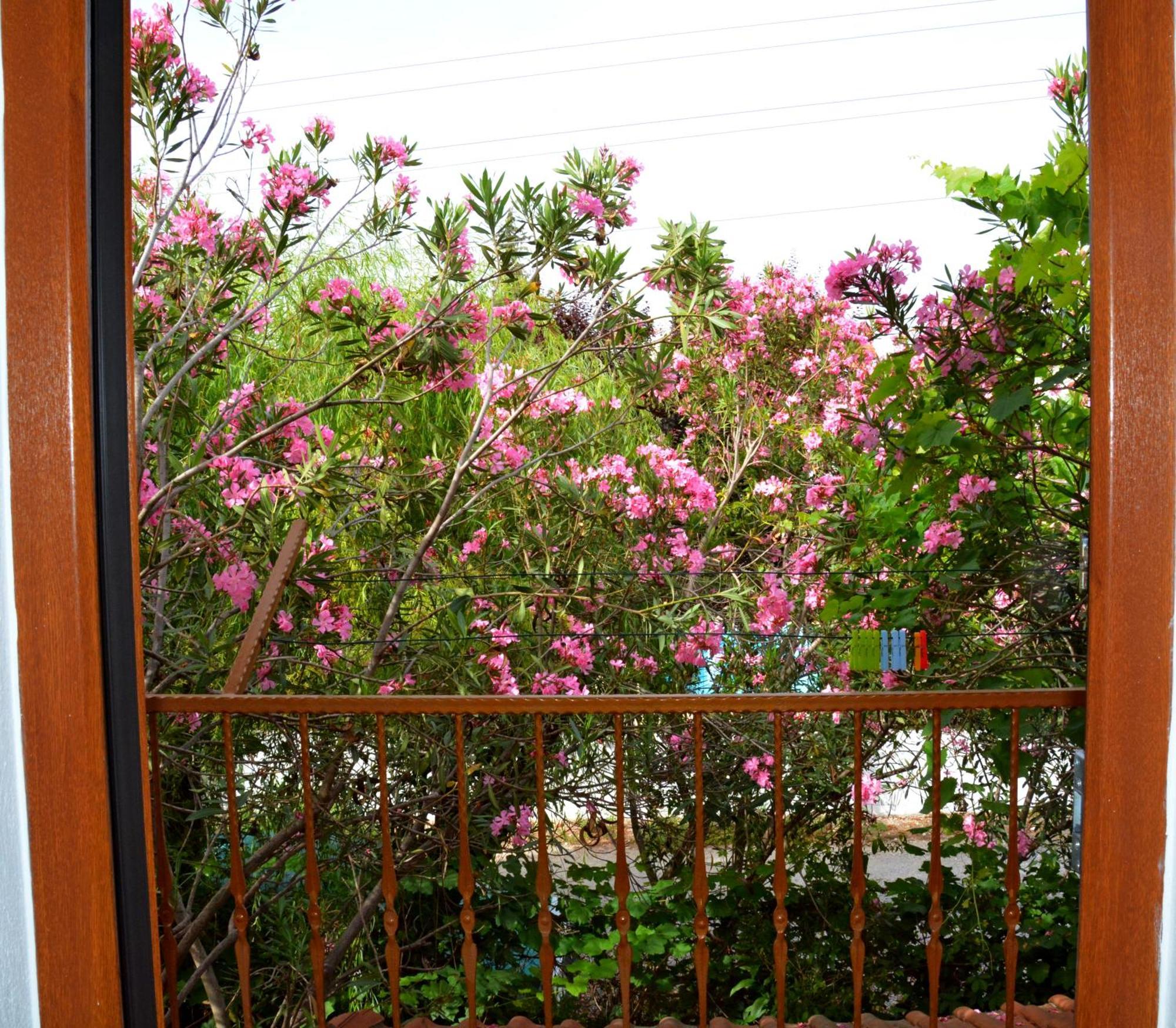 Villa Poseidon Dalyan Exterior foto